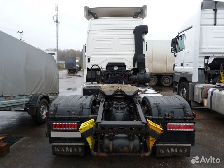 КамАЗ 5490 NEO, 2017