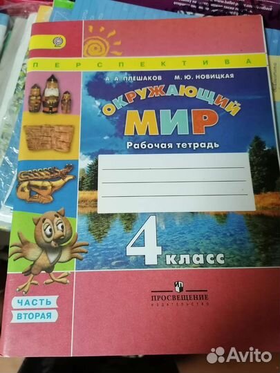 Окружающий мир 4 класс рабочая тетрадь