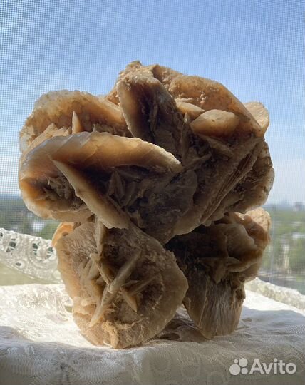 Минерал- роза пустыни. Большая