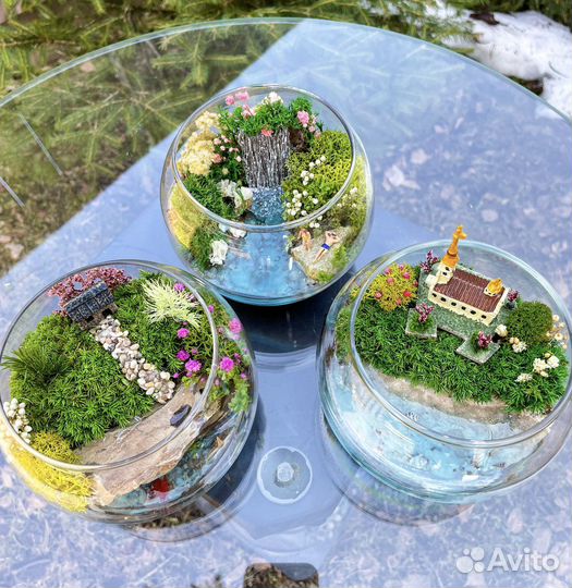 Моссариум мини