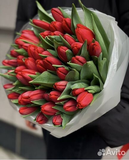 Букет тюльпанов Академ