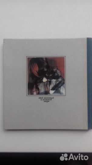 Предлагаю книгу