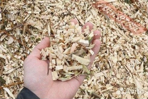 Измельчитель Веток Дробилка Щепорез Мульчер Аренда