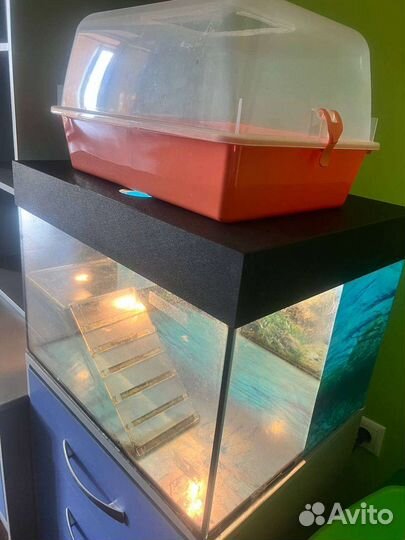 Аквариум для морской черепахи и терариум-переноска
