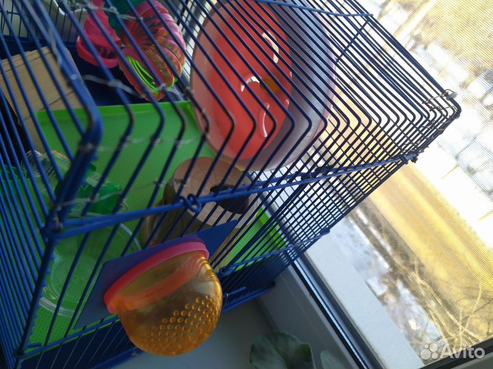 Клетка для грызунов