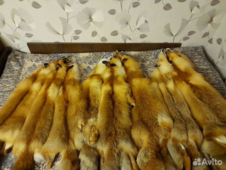 Шкурки
