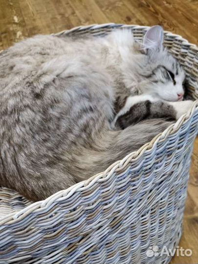 Домик для кошки плетеный