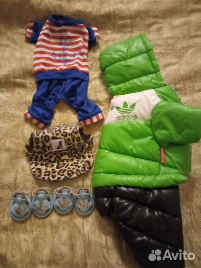 Одежда, кепка для мелких собак