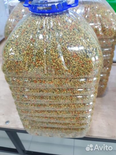 Пыльца пчелиная, оптом