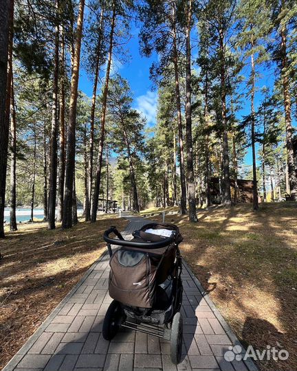 Коляска 3 в 1 verdisonic plus