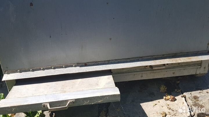 Улей-лежак варшавский