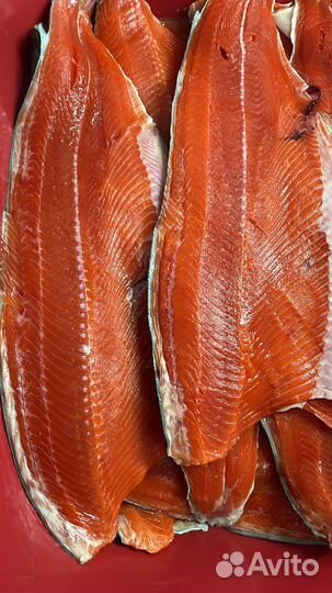 Филе лососевых х/к