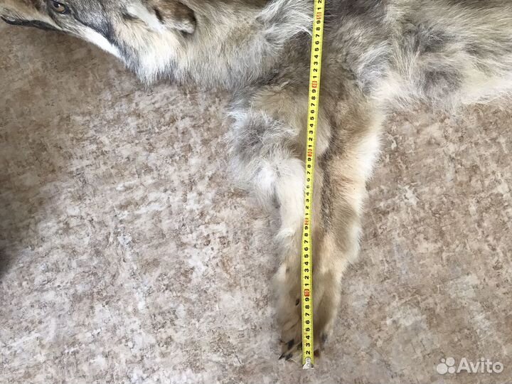 Шкура волка