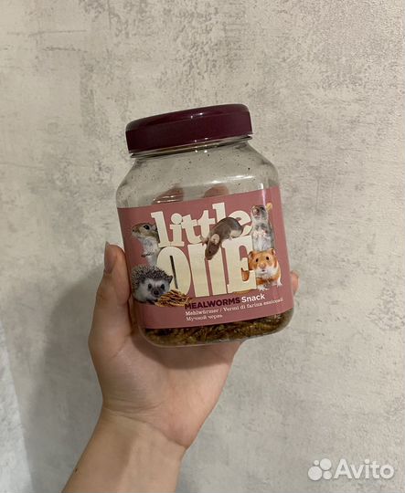 Колесо и переноска для грызунов