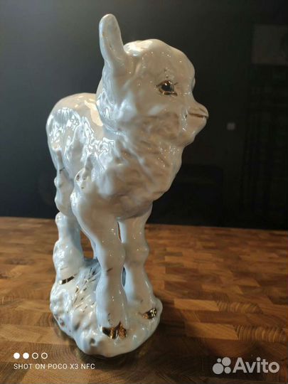 Козлёнок Васенька, лфз