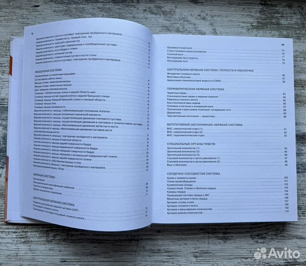 Анатомия человека: Атлас раскраска