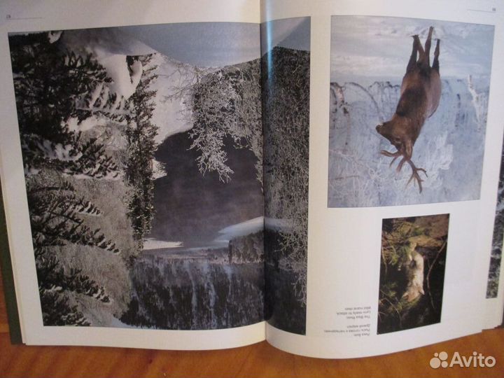 Алтай. Барнаул. Фотоальбомы