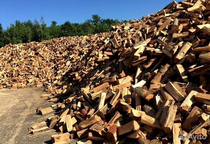 Дрова березка