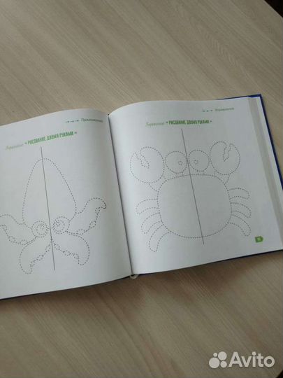 Книга Шамиля Ахмадуллина 