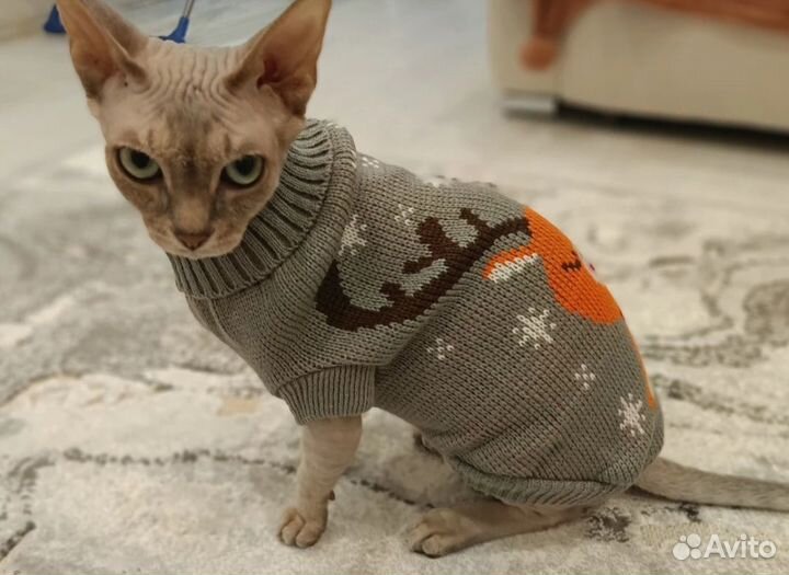 Свитер для кошек и собак