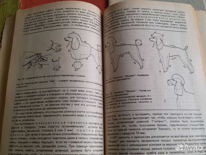 Литература о собаках почти все