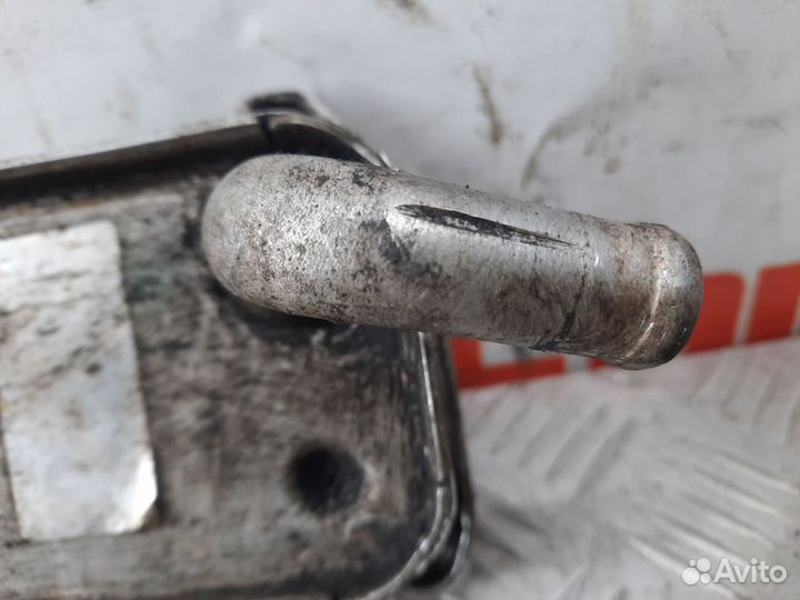 Радиатор охлаждения масла двс Вольво S40 (VS)