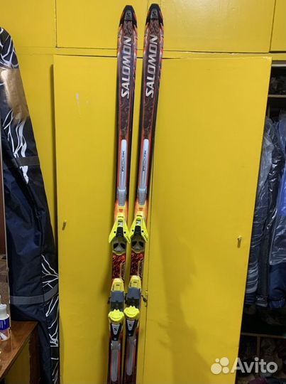 Горные лыжи