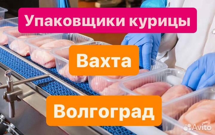 Разнорабочие вахтой.Купим билет