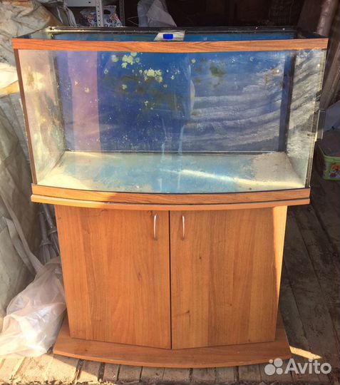 Аквариум