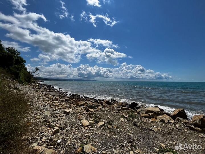 Отдых на Черном море
