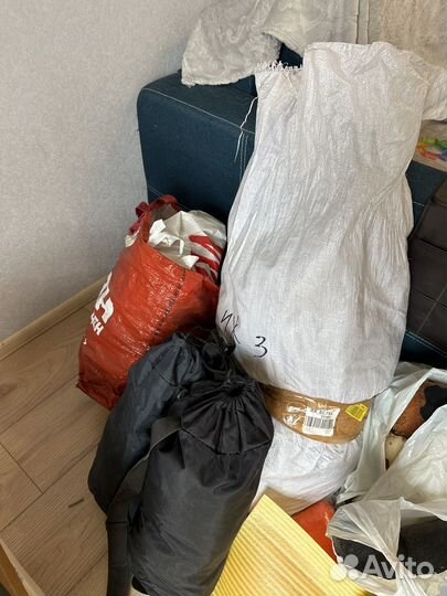 Форма полиции мвд мужская и женская