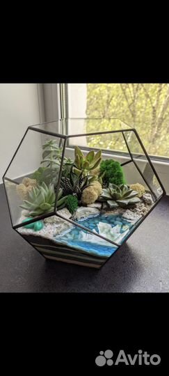 Флорариум с суккулентами на заказ