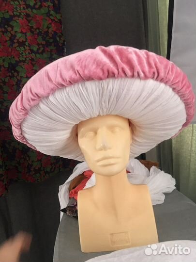 Шляпа гриба Сыроежка Поганка