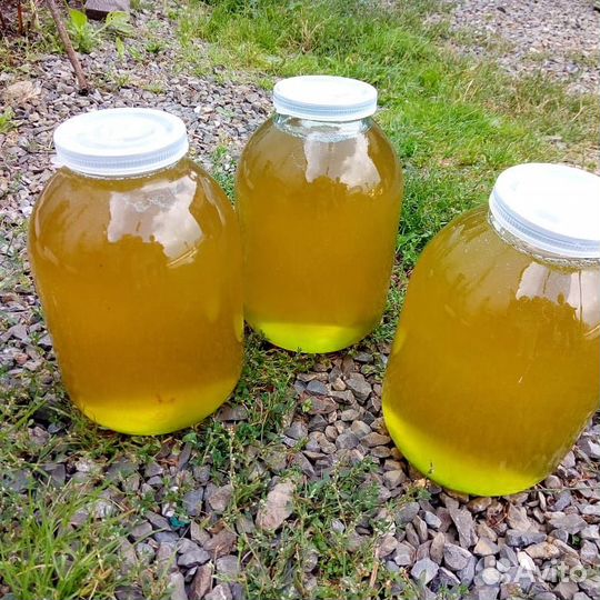 Вкусный мёд с частной пасеки