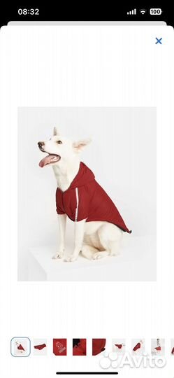 Куртка для собак