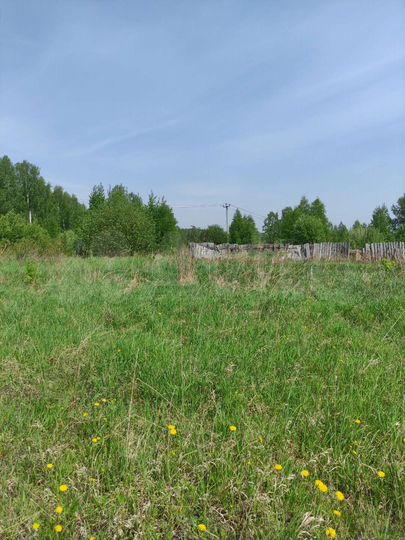 Участок 11 сот. (СНТ, ДНП)