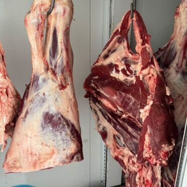Мясо говядина, баранина, закуп и продажв