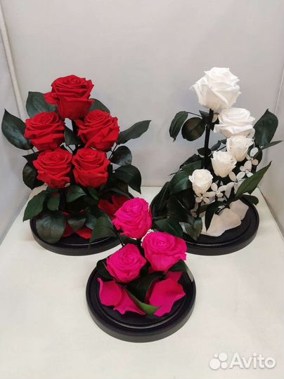 Роза в колбе/подарок