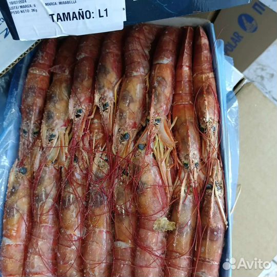 Лангустины креветки