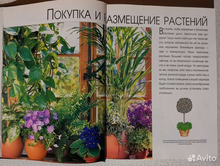 1000 Прекрасных растений в вашем доме