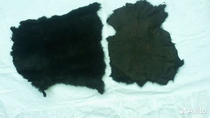 Натуральная шкура сурка