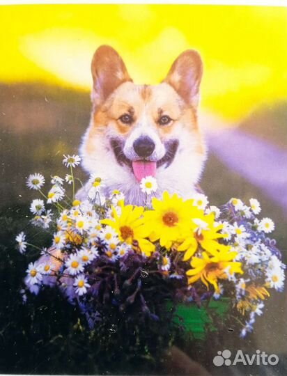 Алмазная мозаика на подрамнике 40*50 Тадж-Махал