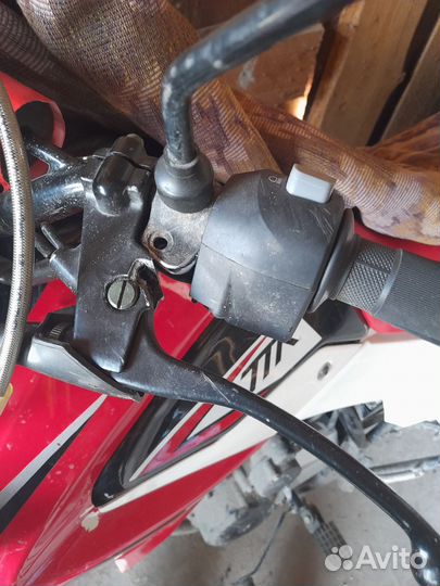 Ирбис ттр250