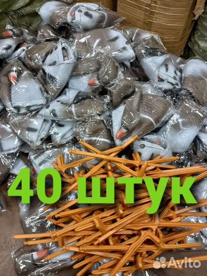 Набор 40 шт чучел гусей для охоты. Авито Доставка