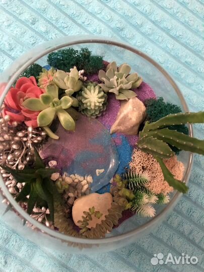 Флорариум суккуленты
