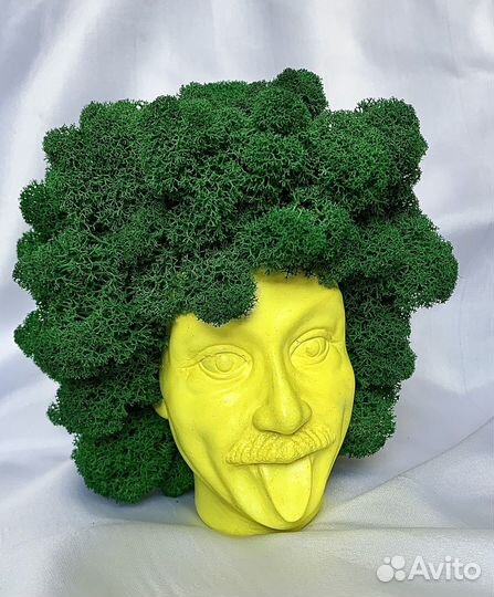 Кашпо, изделие из гипса с мхом для интерьера