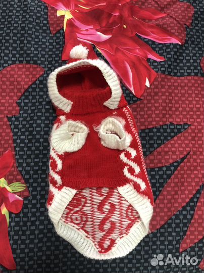 Кофта доя кошки или маленькой собачки