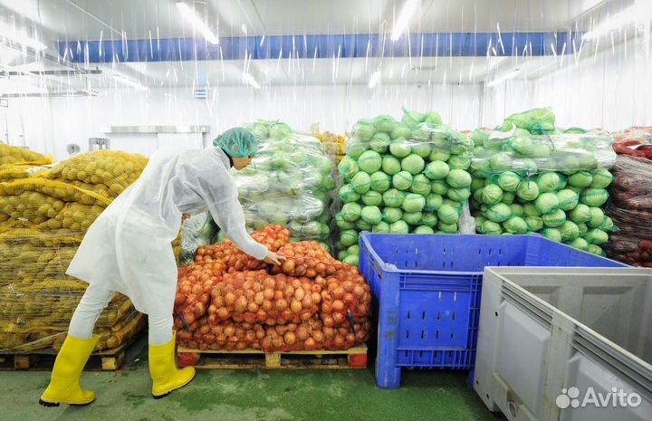 Требуются подсобные рабочие на вахту