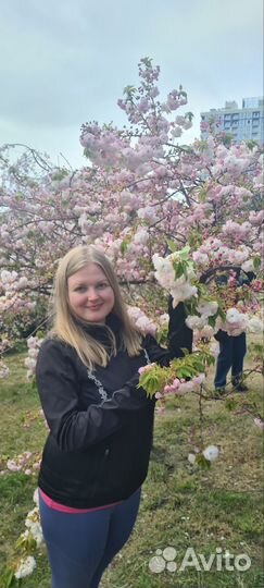 Выгул собак