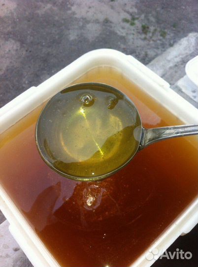 Мед оптом разнотравье